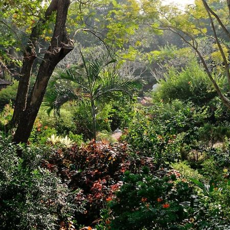 Gaia'S Garden Guest House Όρβιλ Εξωτερικό φωτογραφία
